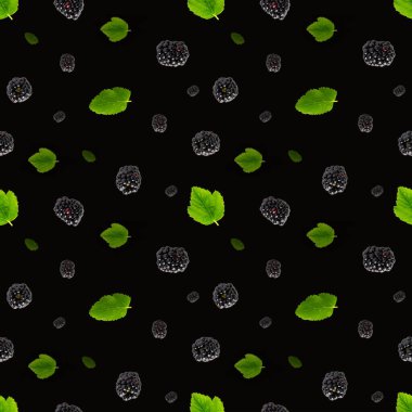 Düşen Bramble Kusursuz desen. Taze düşen böğürtlensiz desen. Siyah arka planda izole edilmiş taze böğürtlenli kare desen. düz yat.