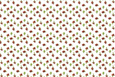 Beyaz arka planda Lingonberry arka planı. Sonbahar ya da Noel arkaplanı olarak yapraklı taze inek böğürtleni ya da kızılcık