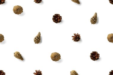 Çam kozalaklarından kusursuz noel deseni, beyaz arka planda iğneler. Modern çam kozalağı Noel kolajı. Çam kozalaklarından yapılmış kağıt, kumaş, duvar kağıdı veya arkaplan baskısı.