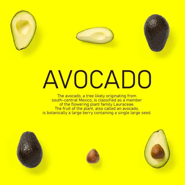 Moderno Collage Creativo Avocado Con Testo Semplice Sfondo Colori Solidi — Foto Stock