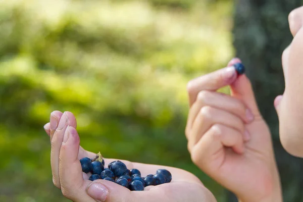 Young Girl Holding Blueberries Hand Forest Eating Young Girl Gathering — Stock Photo, Image
