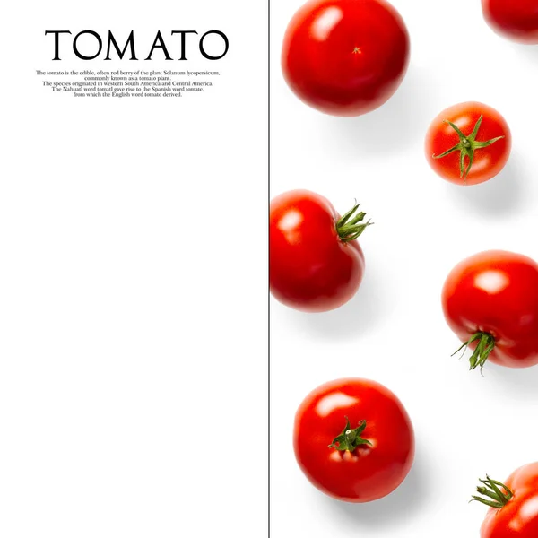 Creative layout made of tomato on the white background. Creative flat lay set of tomatoes with simple text on white background, copy space. tomato theme decoration design or vegetarianism concept.