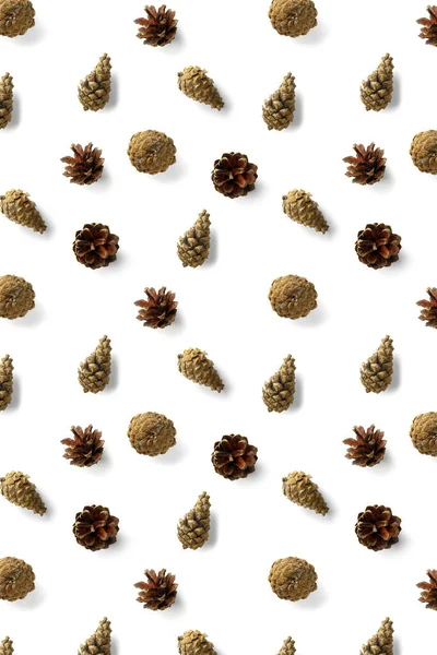 Beyazın yaratıcı çam kozalağı Noel geçmişi. Çam dalları ve koniler. En az yaratıcı koni düzenleme şablonu. Düz yatış, üst manzara. Yeni yıl duvar kağıdı. Doğa çam kozalağı modern Noel Arkaplanı