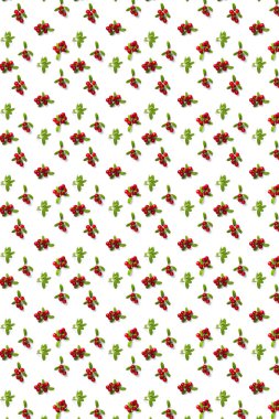 Beyaz arka planda Lingonberry arka planı. Sonbahar ya da Noel arkaplanı olarak yapraklı taze inek böğürtleni ya da kızılcık