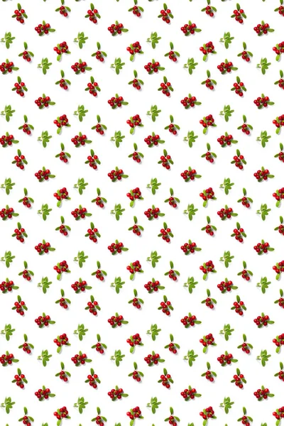 Lingonberry Tle Białym Tle Świeże Jeżyny Lub Żurawiny Liśćmi Jako — Zdjęcie stockowe