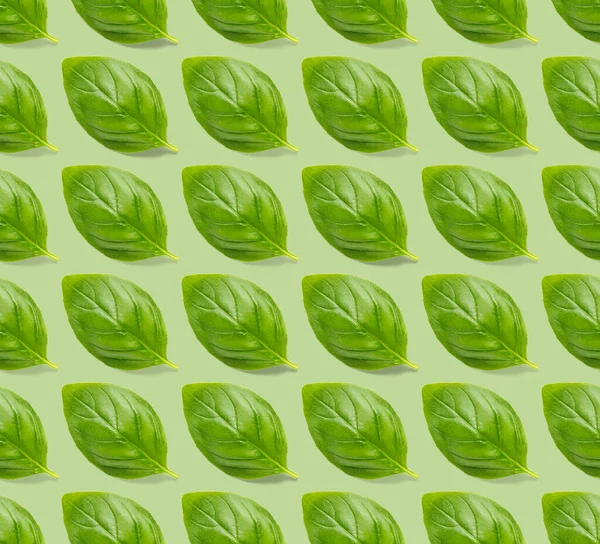 Ιταλικά Φύλλα Βασιλικού Βότανο Αδιάλειπτη Μοτίβο Πράσινο Φόντο Δημιουργική Αδιάλειπτη — Φωτογραφία Αρχείου