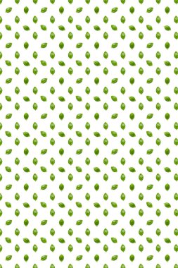 Fesleğen Taze İtalyan fesleğeninden yeşil yapraklar. Fesleğen yaprakları beyaz arkaplanda yalıtılmış. Modern arka plan. desen değil