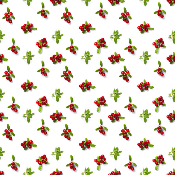 Lingonberry seamless pattern on white background. Fresh cowberries or cranberries with leaves as seamless pattern for textile, fabric, print or posters
