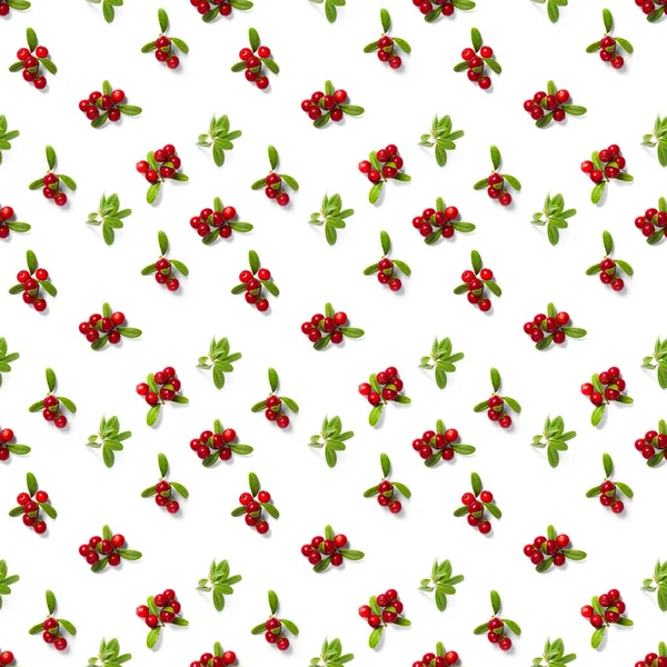 Lingonberry seamless pattern on white background. Fresh cowberries or cranberries with leaves as seamless pattern for textile, fabric, print or posters Lingonberry Seamless Pattern White Background Fresh Cowberries Cranberries Leaves Seamless Royalty Free Stock Images