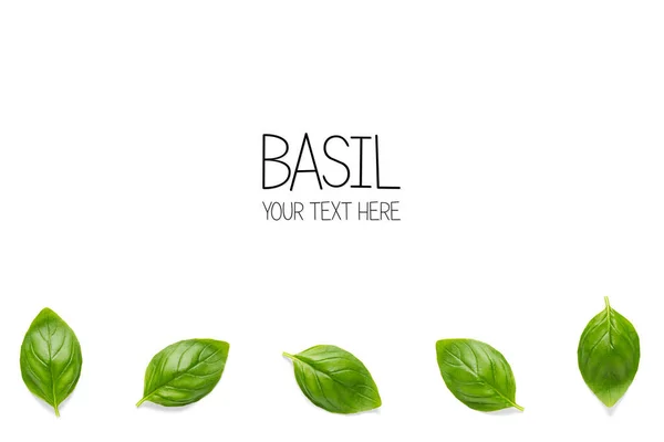 Layout Creativo Con Foglie Basilico Fresco Italiano Composizione Grappolo Singola — Foto Stock