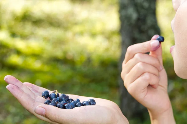 Young Girl holding blueberries in hand in forest and eating. young girl gathering healthy snack in the nature forest. Close up.
