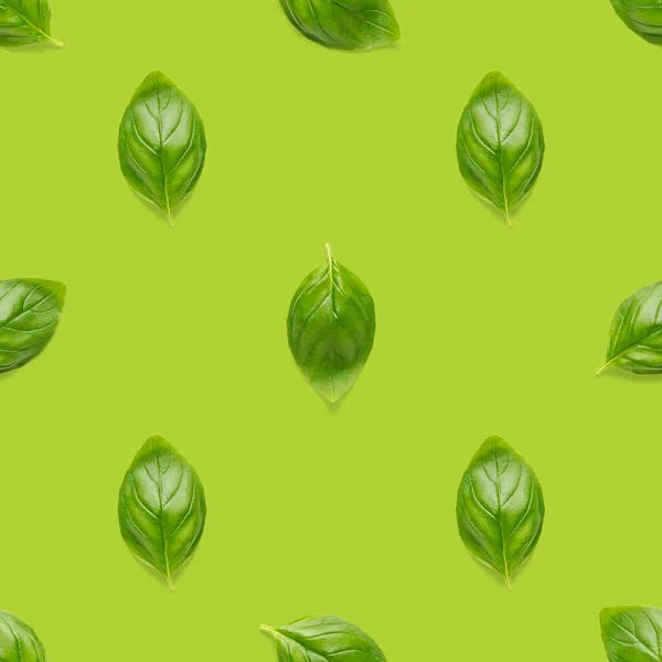 이탈리아 허브는 배경에 있으며 녹색바질 배치로 만들어 창의적 솔기없는 패턴이다 — 스톡 사진
