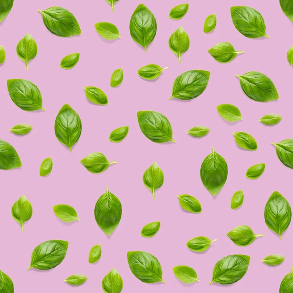 이탈리아 허브는 분홍색 배경에 있으며 녹색바질 배치로 만들어 창의적 솔기없는 — 스톡 사진