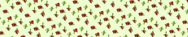 Lingonberry 'nin yeşil arka planı. Sonbahar ya da Noel arkaplanı olarak yapraklı taze inek böğürtleni ya da kızılcık