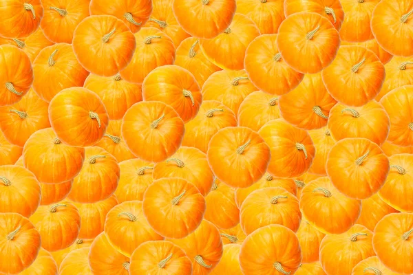 Herbst Hintergrund Machte Frem Kürbis Thanksgiving Oder Halloween Hintergrund Der — Stockfoto