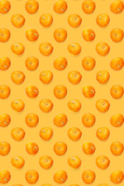 Sonbahar, Frem Balkabağı 'nı yarattı. - Evet. Şükran Günü ya da cadılar bayramı arka planı turuncu minyatür balkabakları.