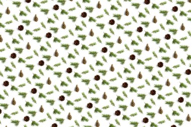 Yeşil konusunda yaratıcı çam kozalağı Noel arkaplanı. Çam dalları ve koniler. En az yaratıcı koni düzenleme şablonu. Düz yatış, üst manzara. Yeni yıl duvar kağıdı. Doğa çam kozalağı modern Noel Arkaplanı