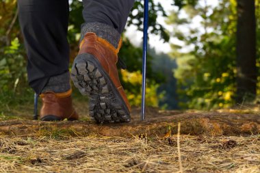 Sonbahar çam ormanında ormanda yürüyüş yapan bir adam. Erkek botları güneşli bir günde ormanda yürüyor. Yürüyüş konsepti, açık hava yaşam tarzı. Trai 'de yürüyüş yapan adam.