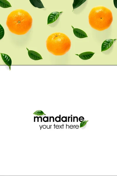 Mise Page Créative Des Mandarines Mandarines Mandarines Mûres Non Pelées — Photo
