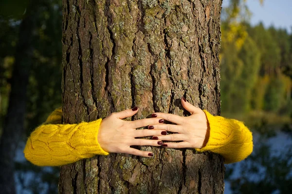 Kobieta Przytula Się Pnia Sosny Jesiennym Lesie Drzewo Miłości Kochał — Zdjęcie stockowe