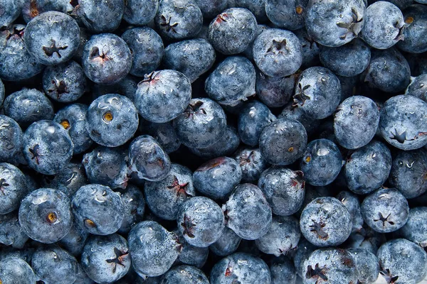 Organic Blueberry Background Fresh Bilberries Background Freshly Picked Blueberries Close — Stock Photo, Image