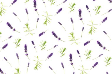 Beyaz arka planda düzenlenmiş lavanta çiçekleri. Düz yatış modeli, minimum arka plan konsepti. beyaz arkaplanda izole edilmiş çiçek kompozisyonu desen değil.