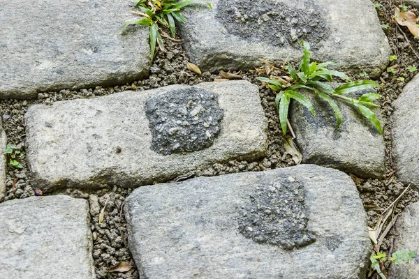 Textura Piedra Popularmente Conocida Rio Janeiro Como Paralelepípedo — Foto de Stock