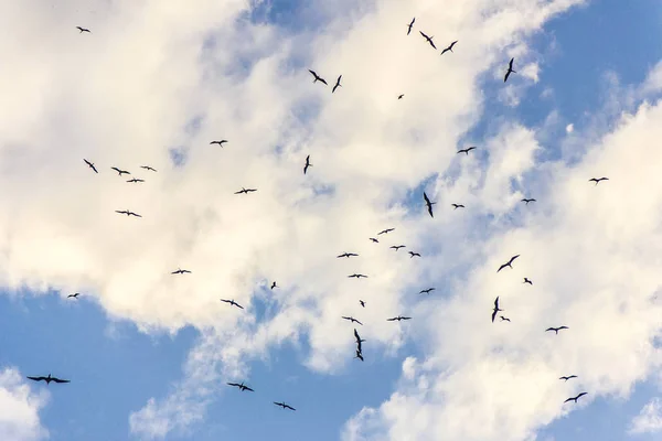 Dettagli di un cielo azzurro — Foto Stock