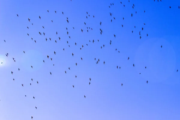 Dettagli di un cielo azzurro — Foto Stock