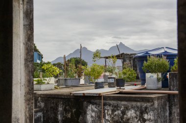 Rio de Janeiro pinto tepe ayrıntıları - brezilya