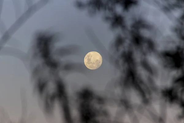 Bulan purnama Brasil . — Stok Foto