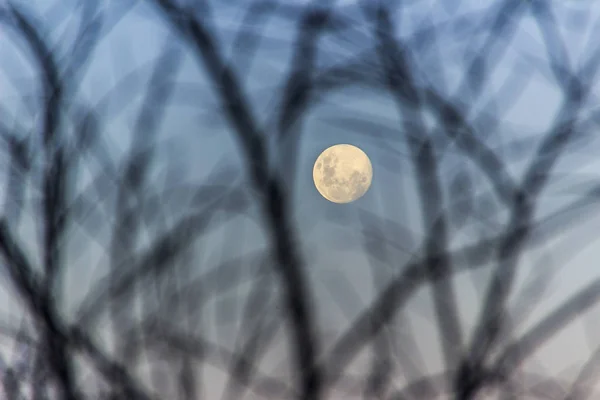 Brazilian full moon. — Stock Photo, Image