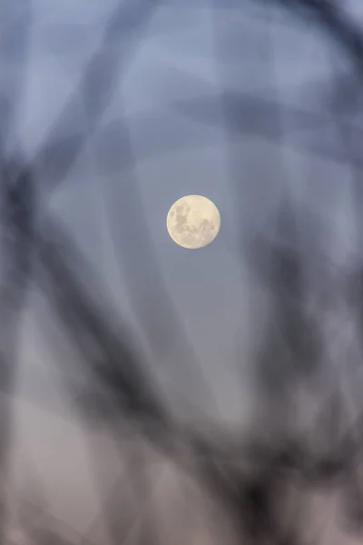 브라질 보름달. — 스톡 사진