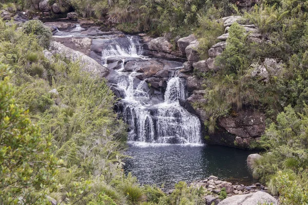 Por los senderos de Itatiaia — Foto de Stock