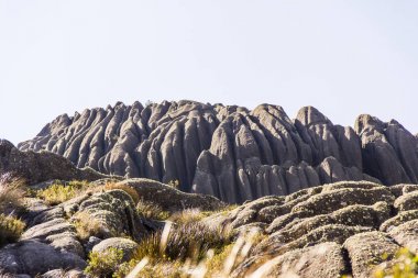 siyah iğneler Itatiaia zirvesi