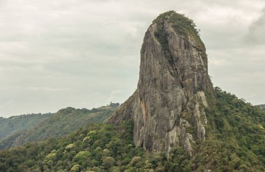 sao paulo gövde taş parça
