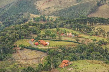 sao paulo gövde taş parça
