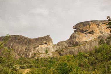 sao paulo gövde taş parça