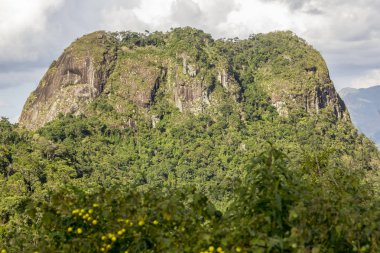 freiburg tepe parça görsel