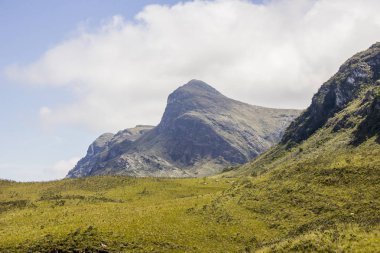 minas gerais parça lapinha x tepsi görsel