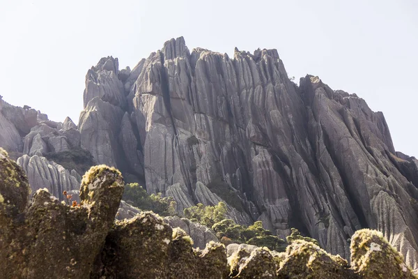 Вершина чорних голок Itatiaia — стокове фото