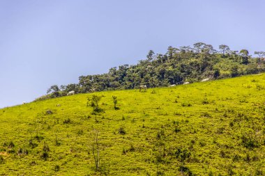Rio de Janeiro pilot x mazomba görsel izini gördüm