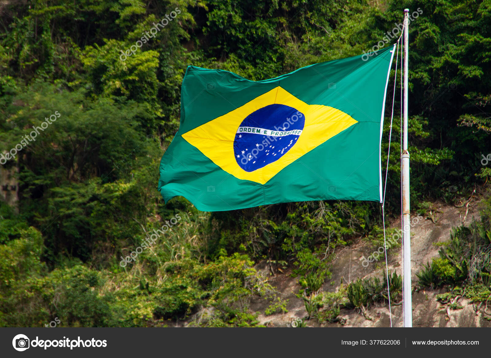 Flag Brazil Outdoors Green Leaves Background Rio Janeiro Brazil Stock Photo By C Brunomartins246