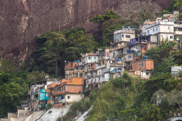 slum sky farm in Rio de Janeiro Brazil.