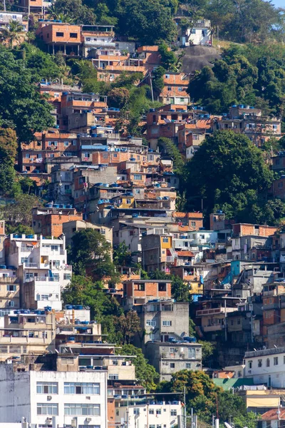 Холм Козьего Morro Dos Cabritos Рио Жанейро Бразилия Июня 2020 — стоковое фото
