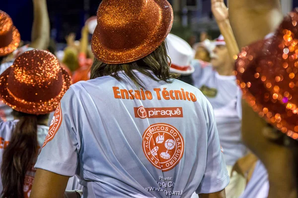 Salgueiro Samba School Rio Janeiro Brazil January 2016 Salgueiro Samba — Stock Photo, Image