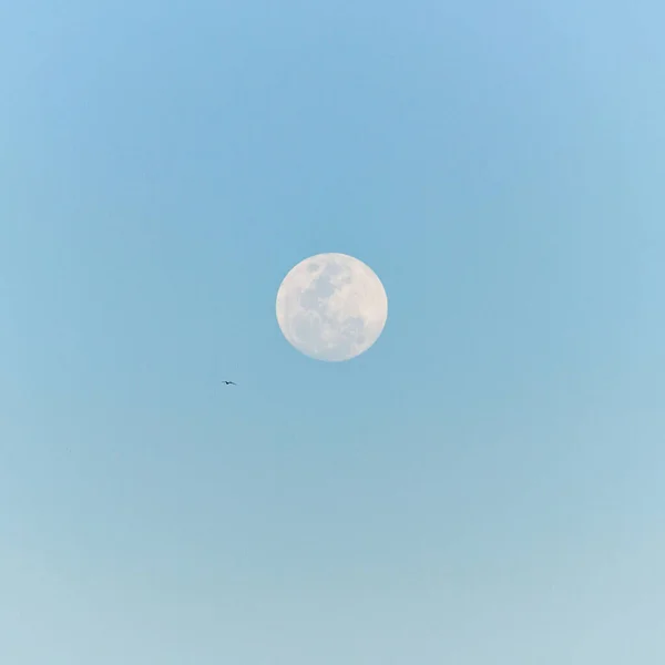 リオデジャネイロのコパカバーナで満月 — ストック写真