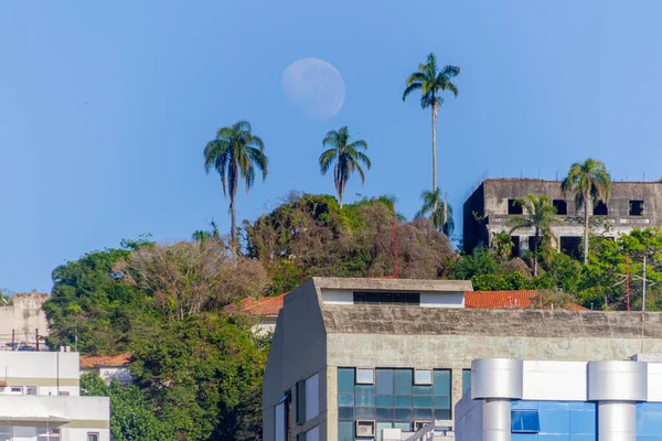 Moonset Sobre Palmeiras Rio Janeiro Brasil — Fotografia de Stock