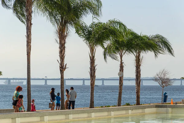 Rio de Janeiro, Brezilya 'daki yarının bahçesinin manzarası - 25 Temmuz 2019: Yarının müzesi, Rio de Janeiro Meydanı' ndaki Olimpik bulvarın ana gösterilerinden biri..