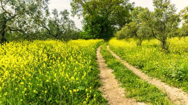 Görünüm Efes şehir Türkiye'de 